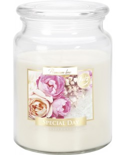 Mirisna svijeća Bispol Premium - Special Day, 500 g