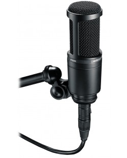 Mikrofon Audio-Technica - AT2020, crni