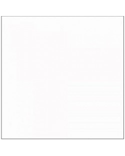 Papirnata pozadina Visico - Arctic White, 2.7x11m, bijela
