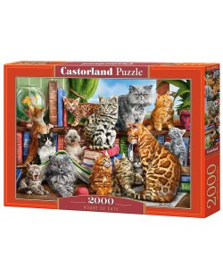 Puzzle Castorland od 2000 dijelova - Kuća mačaka, Marcello Corti