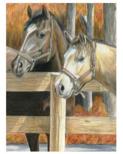 Set za crtanje olovkama u boji Royal - Konji, 22 х 30 cm