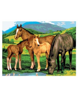 Set za slikanje akrilnim bojama Royal - Konji i ždrebad, 39 х 30 cm