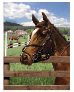 Set za slikanje akrilnim bojama Royal - Konj, 22 х 30 cm