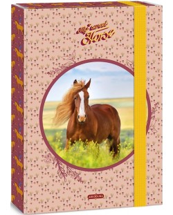 Kutija s gumicom Ars Una My Sweet Horse - A4