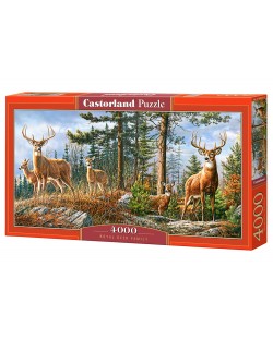 Puzzle Castorland od 4000 dijelova - Šumska obitelj