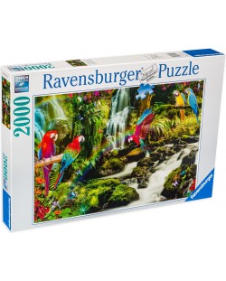 Slagalica Ravensburger od 2000 dijelova - Papige u džungli