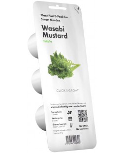 Sjeme Click and Grow - Wasabi senf, 3 punjenja