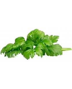 Sjeme Click and Grow - List celera, 3 punjenja