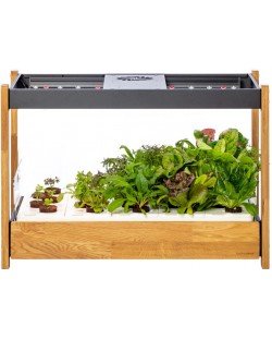 Pametna saksija Click and Grow - Smart Garden 25, crna