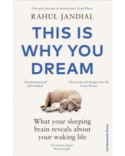 This Is Why You Dream: What your sleeping brain reveals about your waking life