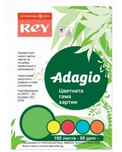 Kopirni papir u boji ​ Rey Adagio - Mix, A4, 80 g 100 listova