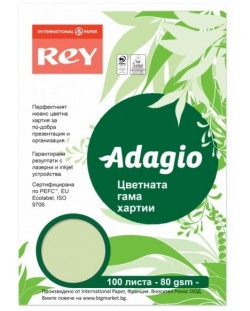 Kopirni papir u boji Rey Adagio - Bright Green, A4, 80 g, 100 listova