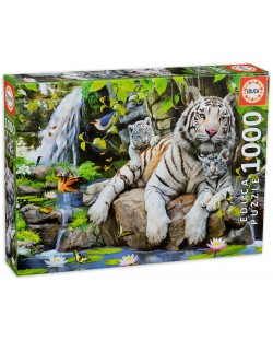 Puzzle Educa od 1000 dijelova - Bijeli bengalski tigar sa svojim mladima