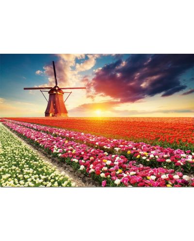 Puzzle Educa od 1500 dijelova - Zemlja tulipana - 2