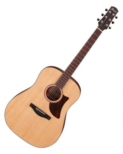 Akustična gitara Ibanez - AAD100, Open Pore Natural - 1