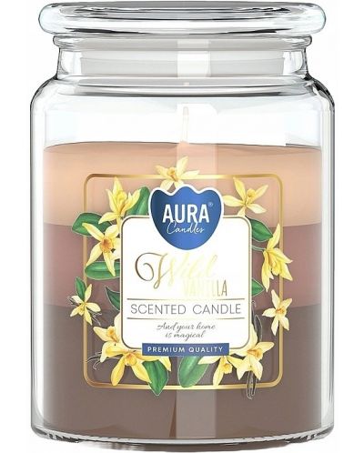 Mirisna svijeća Bispol Aura - Wild Vanilla, 500 g - 1