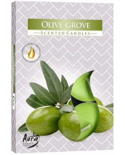Mirisne čajne svijeće Bispol Aura - Olive Grove, 6 komada - 1