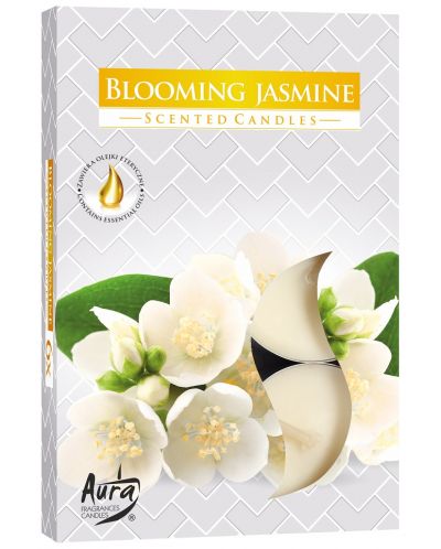 Mirisne čajne svijeće Bispol Aura - Jasmin, 6 komada - 1