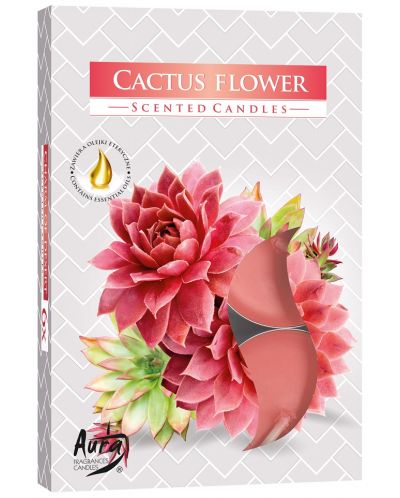 Mirisne čajne svijeće Bispol Aura - Cactus Flower, 6 komada - 1