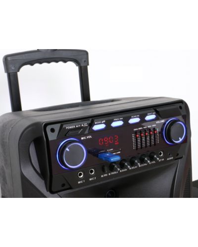Audio sustav Elekom - ЕК-1305, crni - 2