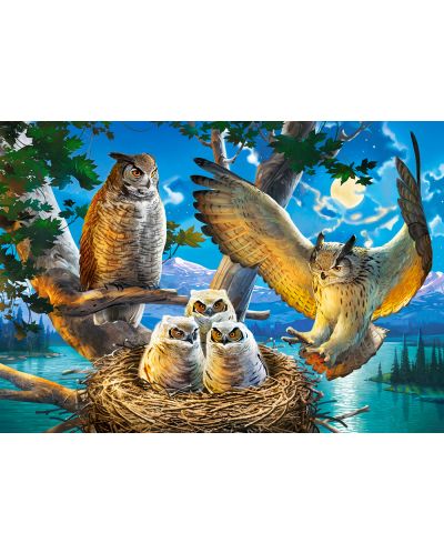 Puzzle Castorland od 500 dijelova - Obitelj sova - 2