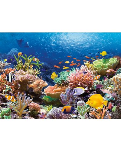 Puzzle Castorland od 1000 dijelova - Koralji i ribe - 2