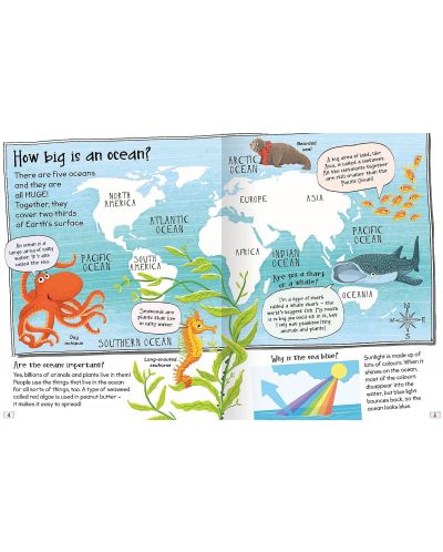 Curious Questions and Answers: Our Oceans (Miles Kelly) - 3
