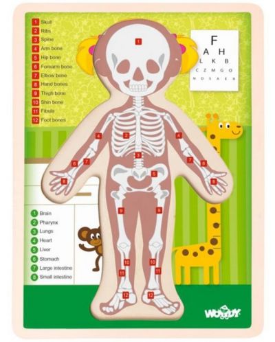 Drvena slagalica Woody - Ljudsko tijelo - Djevojka, 13 dijelova - 2