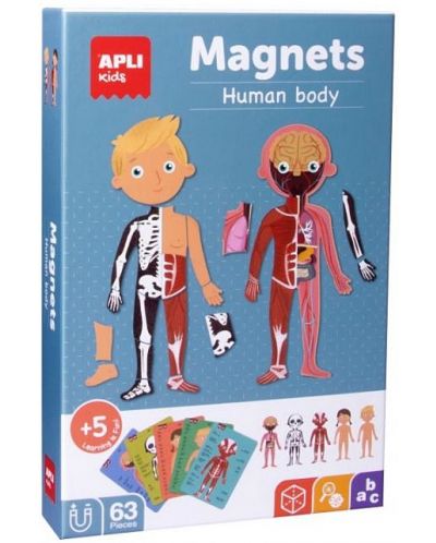 Dječja magnetska igra Apli – Ljudsko tijelo - 1