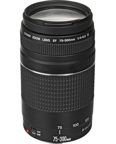 DSLR fotoaparat Canon - EOS 2000D, EF-S18-55mm, EF 75-300mm, crni - 3
