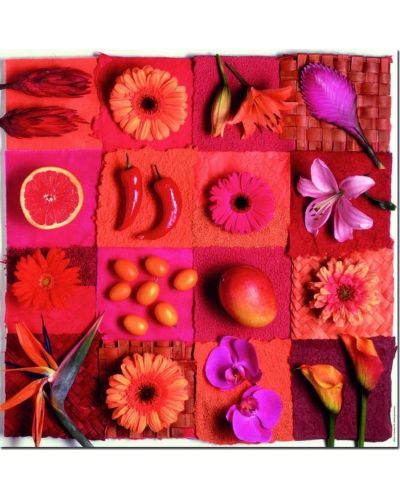 Puzzle Educa od 3 x 500 dijelova - Egzotično cvijeće i voće - 4