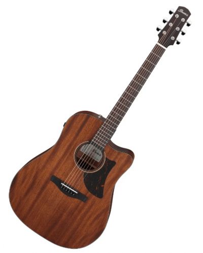 Elektroakustična gitara Ibanez - AAD190CE, Open Pore Natural  - 1