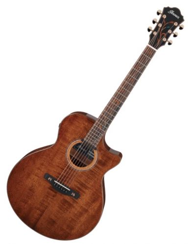 Elektroakustična gitara Ibanez - AE295LTD, Natural - 1