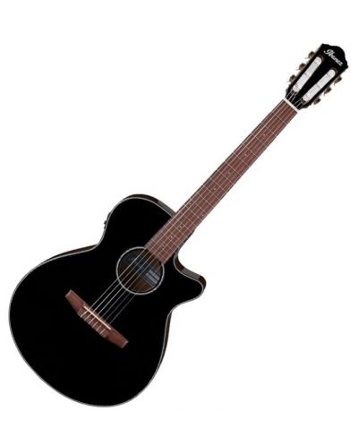 Elektroakustična gitara Ibanez - AEG50N, Black High Gloss - 1
