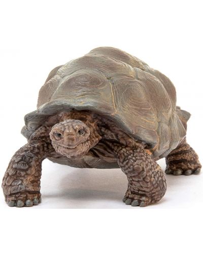 Figurica Schleich Wild Life - Divovska kornjača - 2