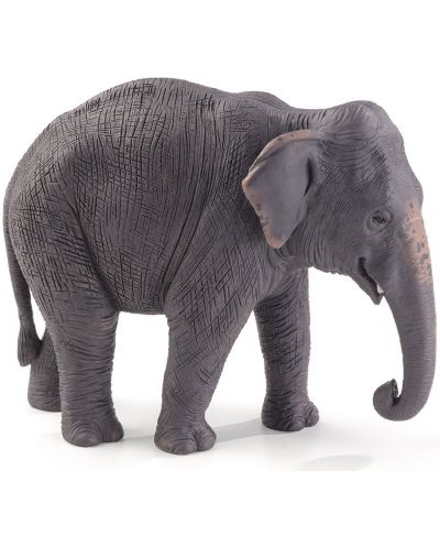 Figurica Mojo Wildlife – Azijatski slon - 1