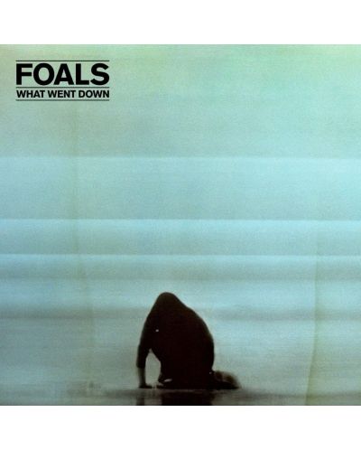 Foals - What Went Down (Vinyl) - 1