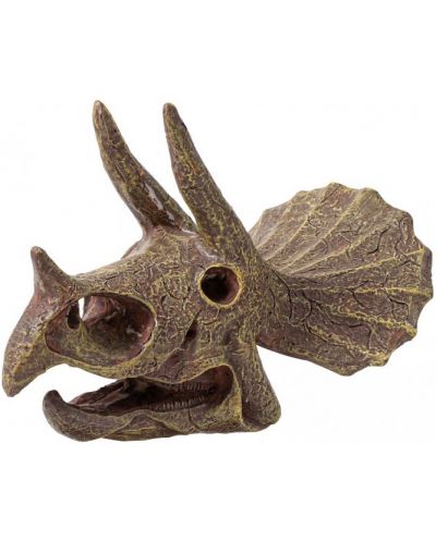 Komplet za istraživanje Buki Museum - Skull, Triceratops - 3