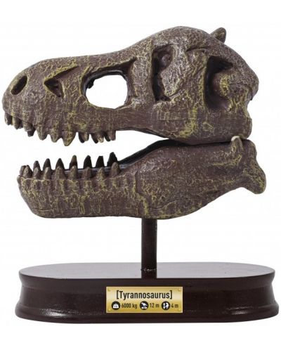 Komplet za istraživanje Buki Museum - Skull, T-Rex - 4