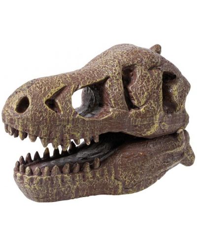 Komplet za istraživanje Buki Museum - Skull, T-Rex - 3
