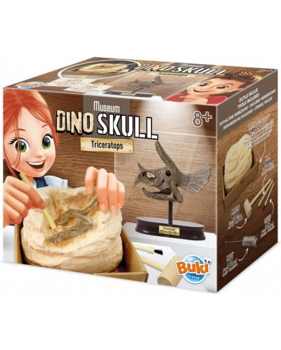Komplet za istraživanje Buki Museum - Skull, Triceratops - 1