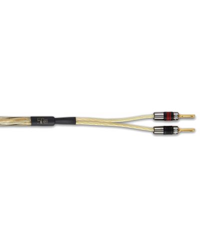 Kabel za zvučnici QED - Golden Anniversary XT, 4x 2.5 mm, 1 m, zlatni - 3
