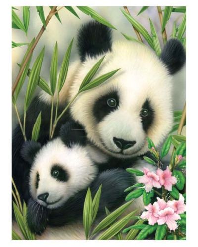 Set za slikanje akrilnim bojama Royal - Panda i beba, 22 х 30 cm - 1