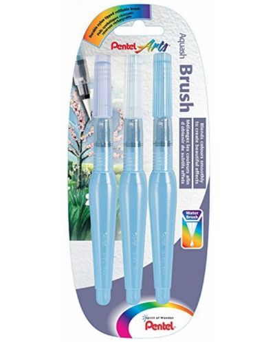 Set kistova Pentel - Aquash Triple - 3 komada - 1