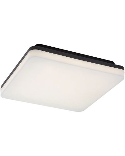 LED vanjska stropna svjetiljka Rabalux - Pernik 7250, IP 54, F, 24 W, 230 V, 2400 lm, 4000 k, crna - 2