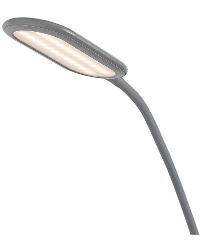 LED Lampion Rabalux - Adelmo 74009, IP 20, 10 W, sivi - 5