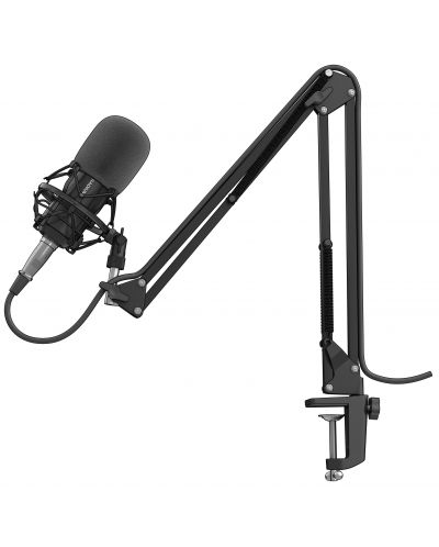 Mikrofon Genesis - Radium 300 XLR, crni - 1