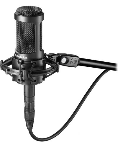 Mikrofon Audio-Technica - AT2050, crni - 2