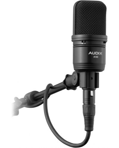 Mikrofon AUDIX - A133, crni - 2