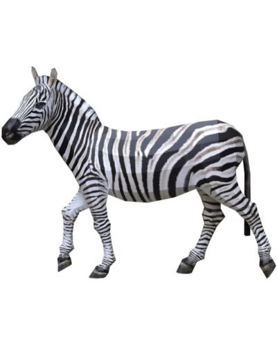 Sastavljeni model od papira - Zebra, 34 x 46 cm - 1